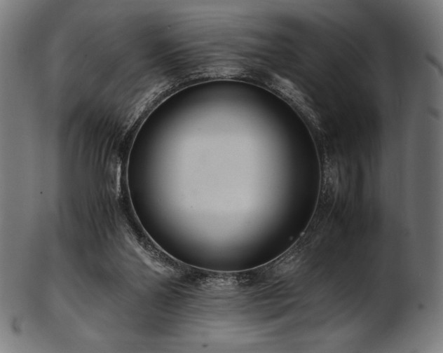 X0000103480110200809121658