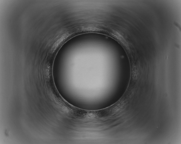 X0000103480111200809121658
