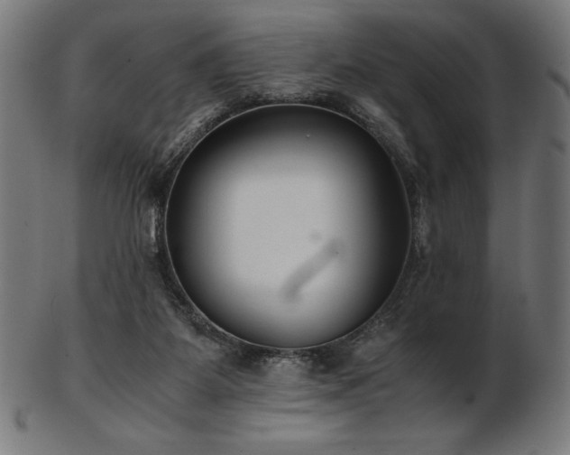 X0000103480115200809121658