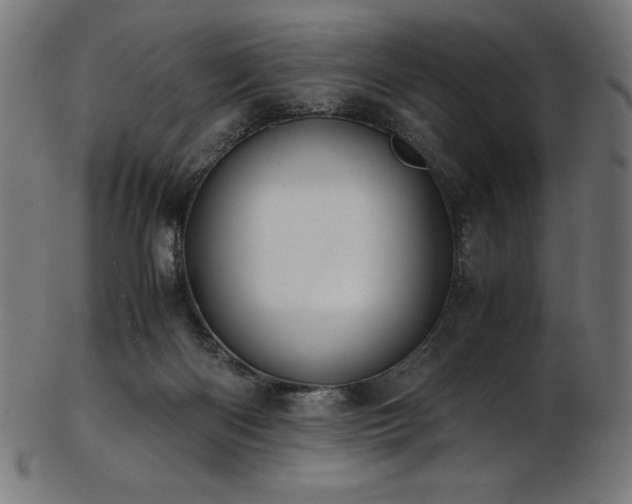 X0000103480122200809121658