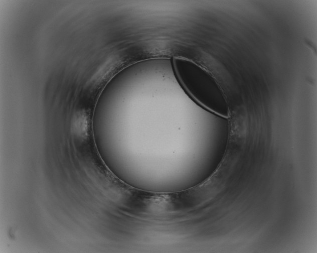 X0000103480124200809121658