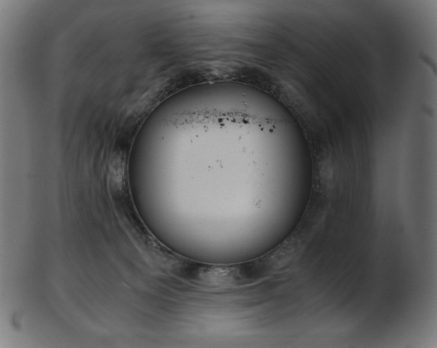 X0000103480129200809121658