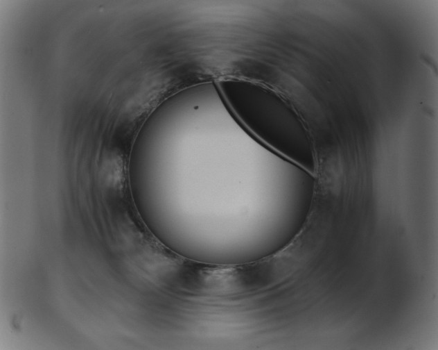 X0000103480132200809121658