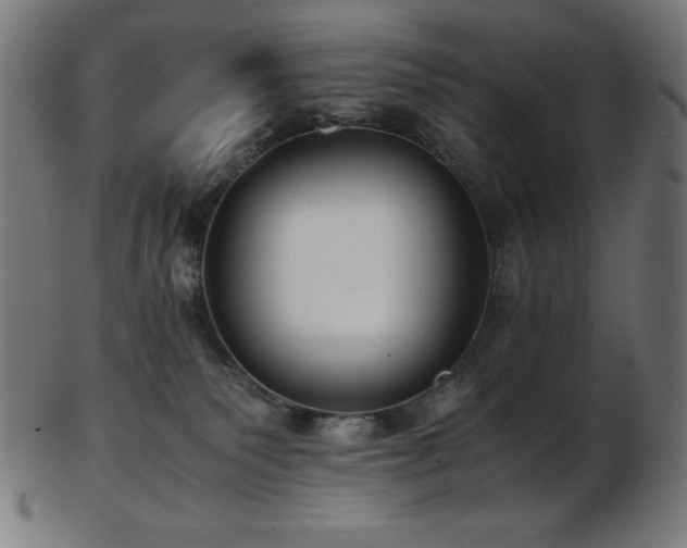 X0000103480135200809121658