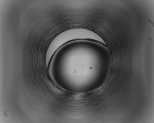 X0000103480136200809121658