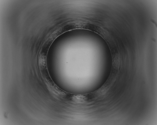 X0000103480137200809121658
