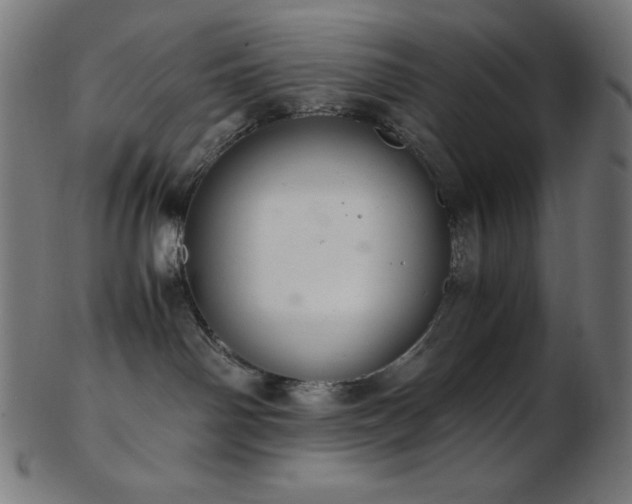 X0000103480142200809121658