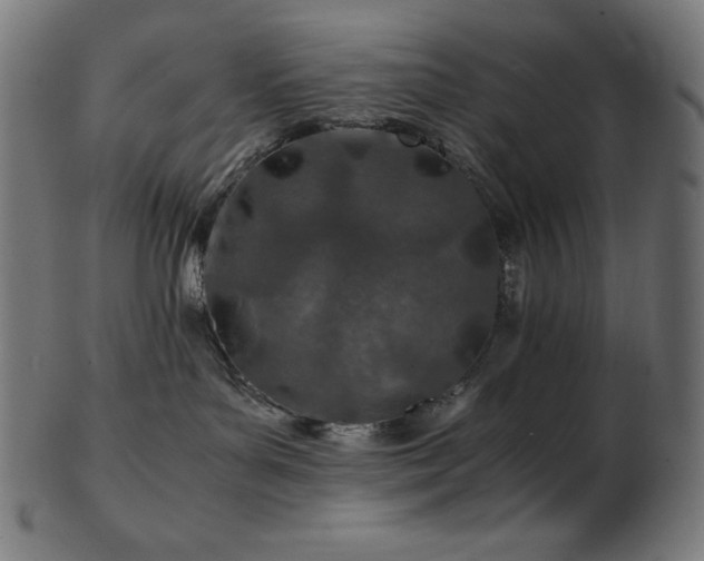 X0000103480143200809121658