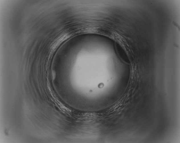 X0000103480145200809121657