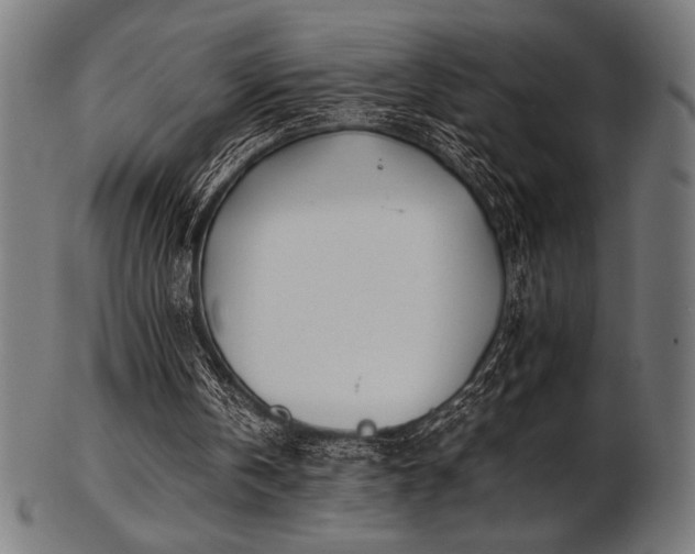 X0000103480146200809121657