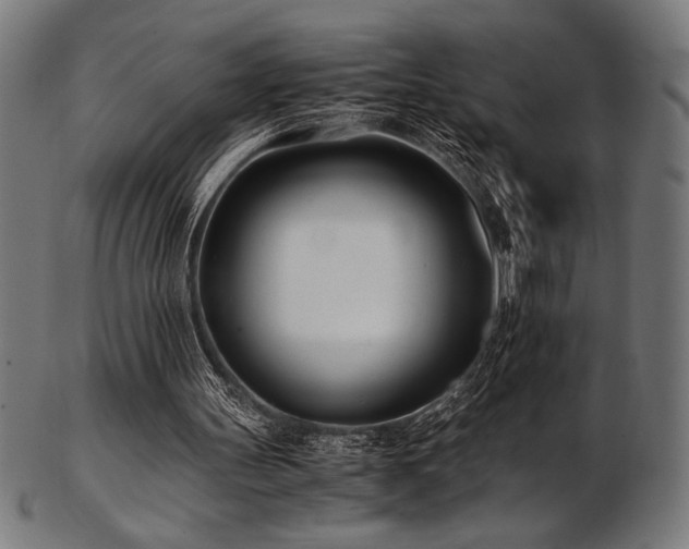 X0000103480147200809121657