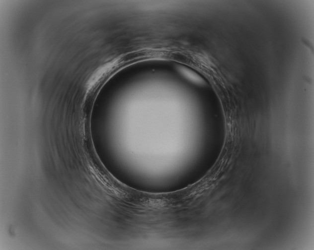 X0000103480149200809121657