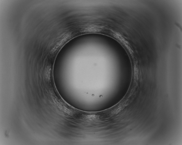 X0000103480153200809121657