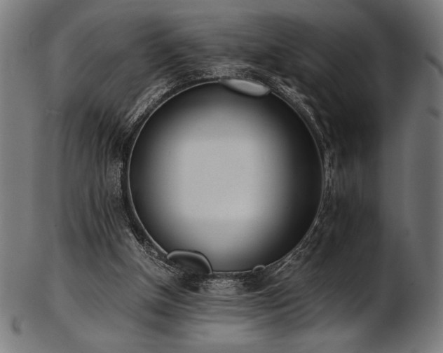 X0000103480154200809121657