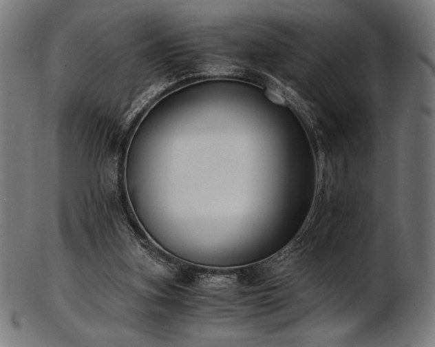 X0000103480155200809121657