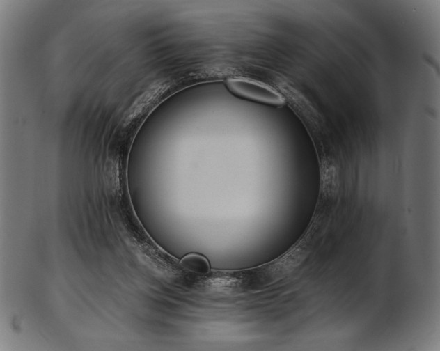 X0000103480158200809121657