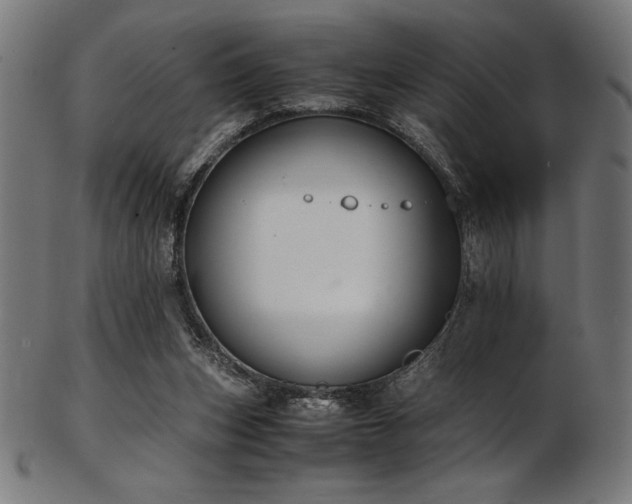 X0000103480159200809121657