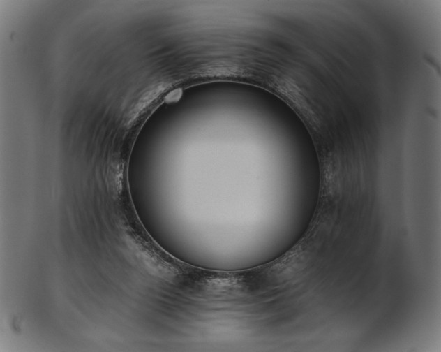 X0000103480160200809121657