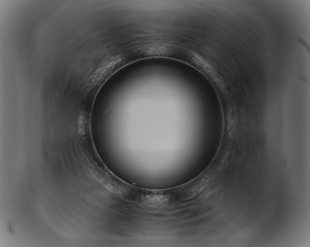 X0000103480161200809121657