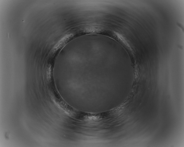 X0000103480163200809121658