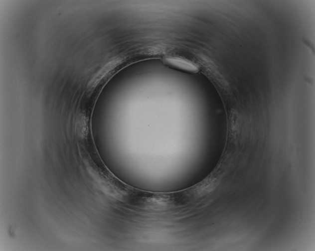X0000103480164200809121658