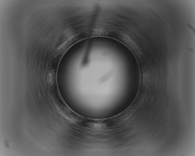 X0000103480165200809121658