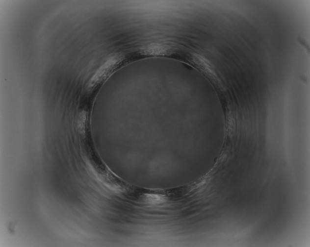 X0000103480167200809121658
