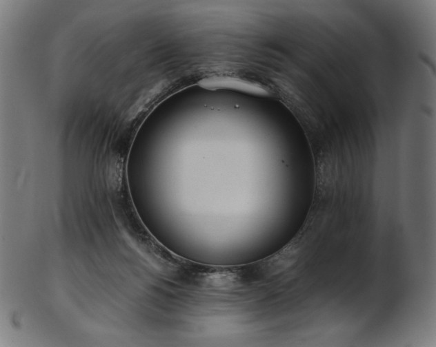 X0000103480168200809121658