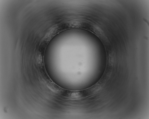 X0000103480173200809121658