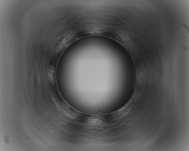 X0000103480175200809121658