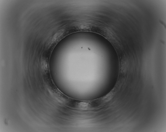 X0000103480176200809121658