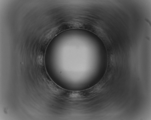 X0000103480177200809121658
