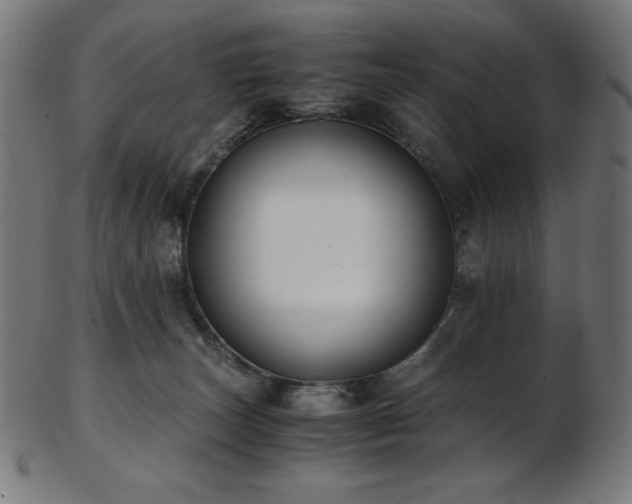 X0000103480179200809121658