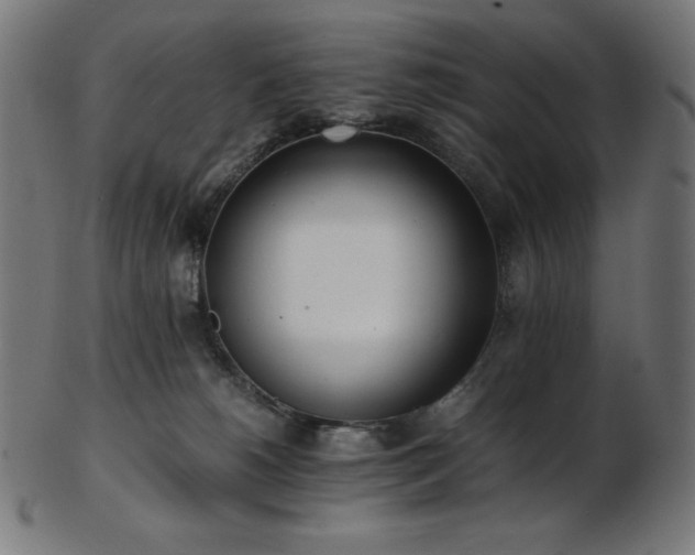 X0000103480180200809121658