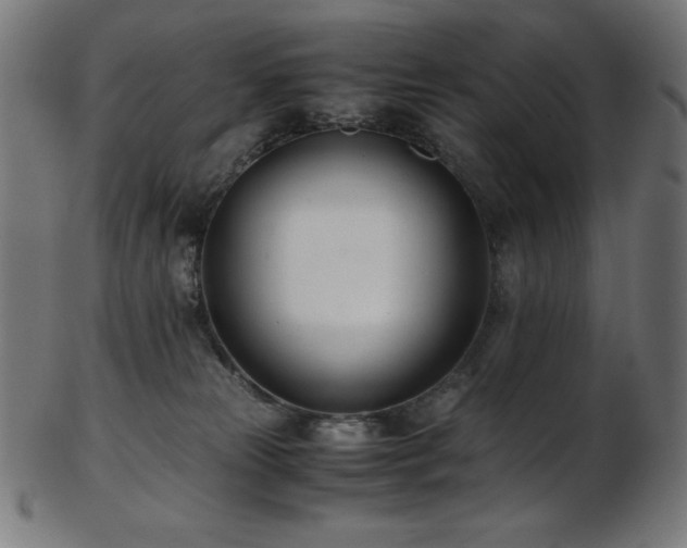 X0000103480181200809121658