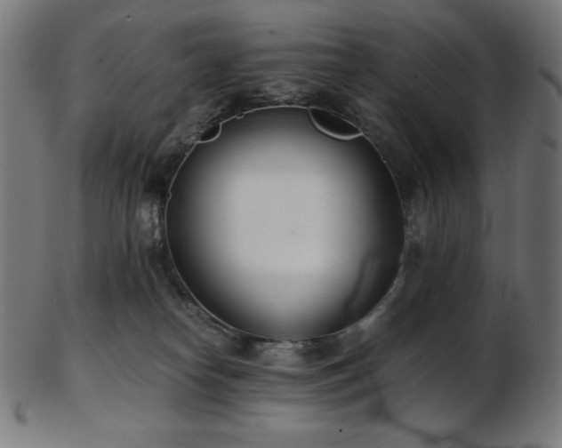 X0000103480182200809121658