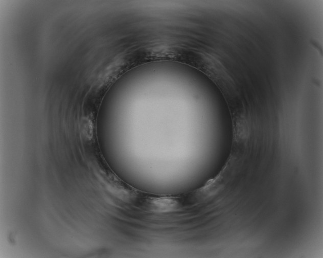 X0000103480183200809121658