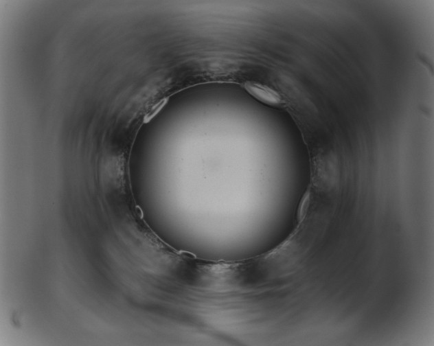 X0000103480184200809121658