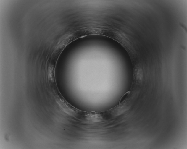 X0000103480185200809121658