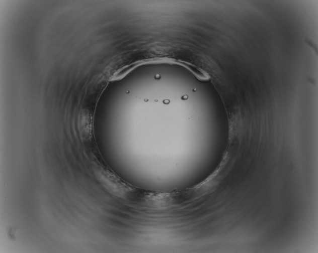 X0000103480186200809121658