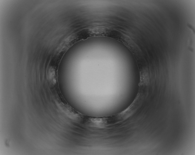 X0000103480187200809121658
