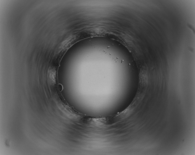 X0000103480188200809121658