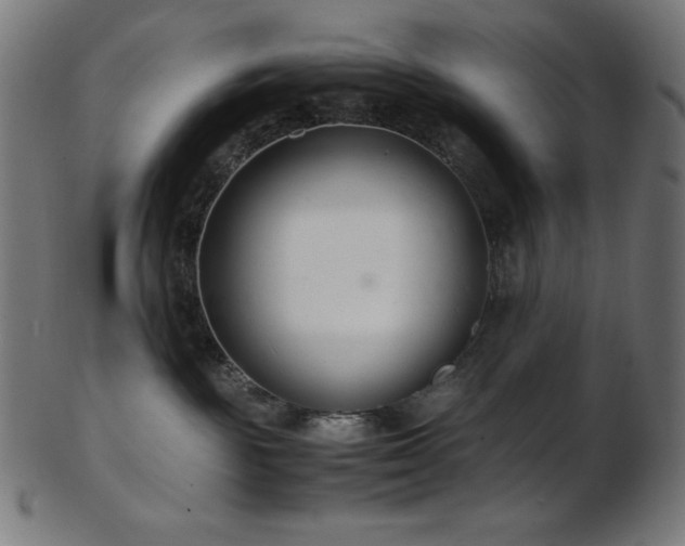 X0000103480189200809121658