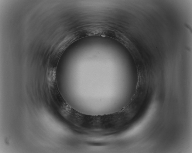 X0000103480191200809121658