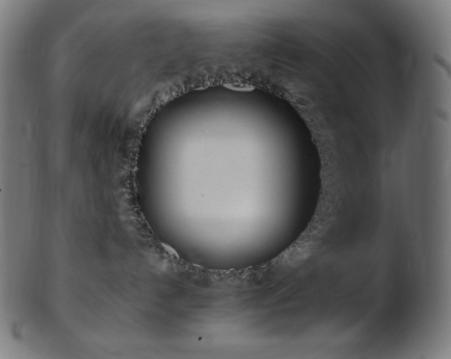 X0000103480192200809121658