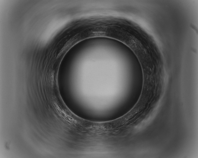 X0000103480194200809121657