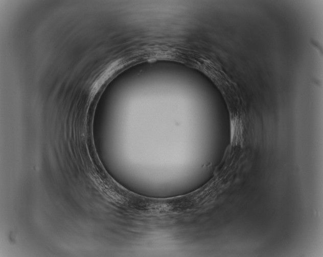X0000103480195200809121657