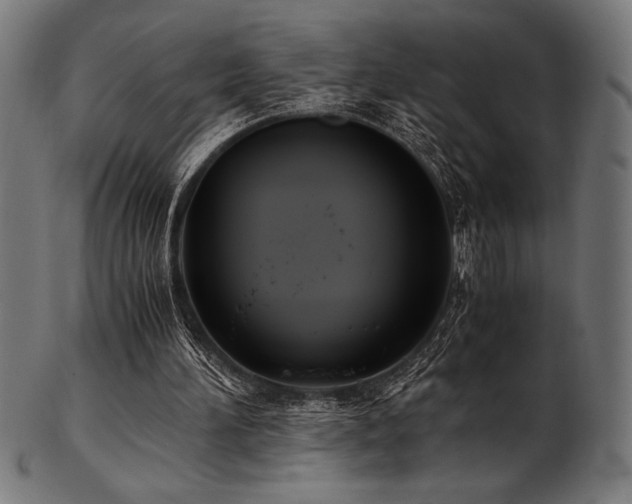X0000103480196200809121657