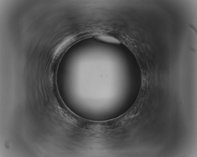 X0000103480197200809121657