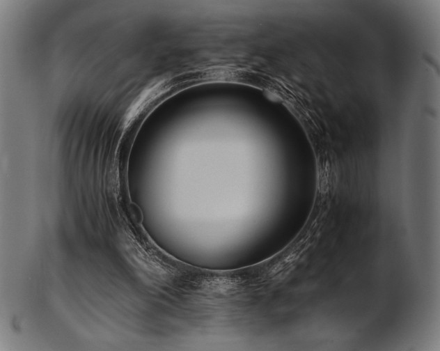 X0000103480198200809121657